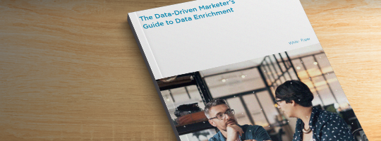 Data-Driven Marketer's Guide to Data Enrichment